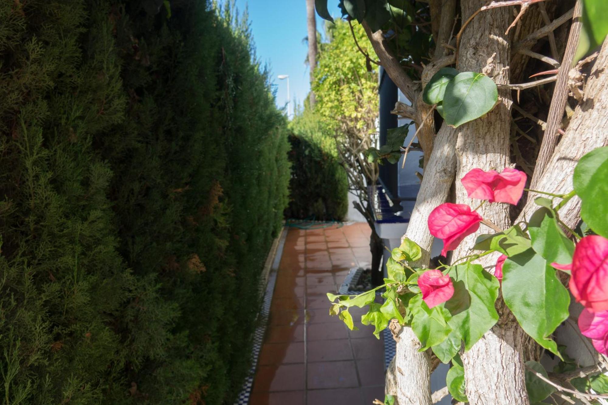 צ'יקלנה דה לה פרונטרה Apartamento Alextia La Barrosa מראה חיצוני תמונה